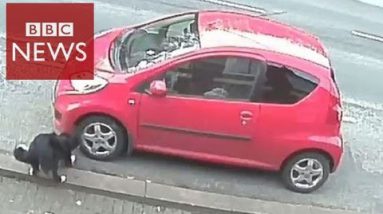 CCTV finds dog as hunted car vandal – BBC Records
