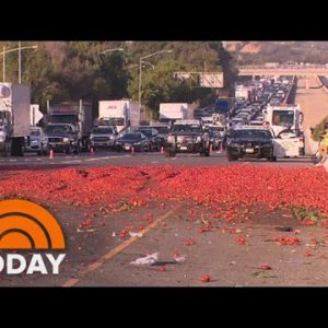 Tomatoes spill onto California shrimp-entry dual carriageway after truck crashes