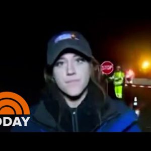 Eye: Reporter By likelihood Hit By Car On Live TV, Finishes Anecdote