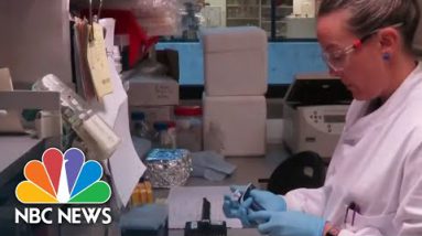 See Fleshy Coronavirus Protection – April 29 | NBC News Now (Reside Drag)