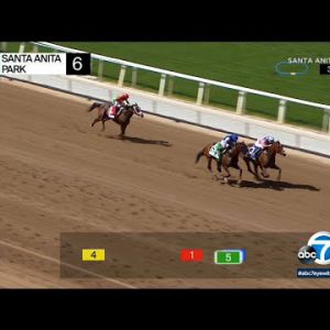 Santa Anita reopens to horse racing followers for first time in a twelve months | ABC7 Los Angeles