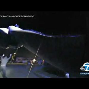 Fontana police steal 4 in act of sawing-off catalytic converter