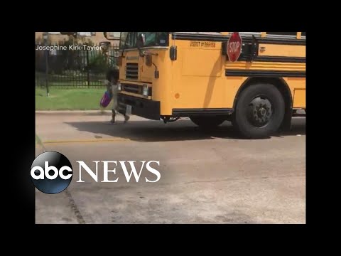 Automobile blows past college bus dwell mark, almost hitting puny one