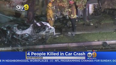 4 Killed When Speeding BMW Slams Into Tree, Erupts In Flames In Northridge