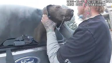 Dogs Rescued From Burning Automobile Thanks Cop With Kisses