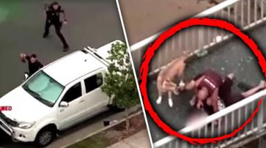 Dog Walker Tackles Alleged Automobile Thief