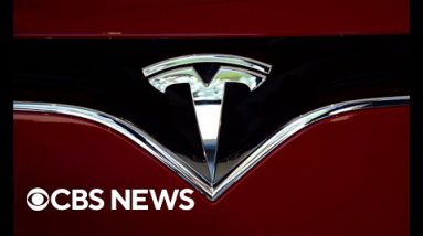 Tesla stock plummets as Elon Musk considers slashing prices on some vehicles