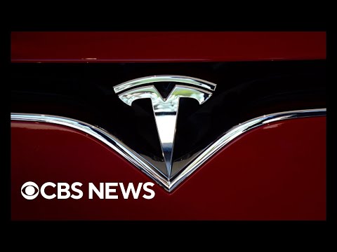 Tesla stock plummets as Elon Musk considers slashing prices on some vehicles