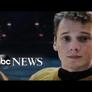 Actor Anton Yelchin Dies From a Automobile Wreck at His Grasp Home