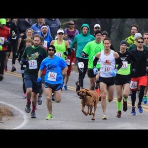 Canine Accidently Joins Half Marathon, Finishes Bustle In seventh Save