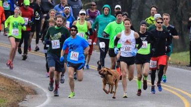 Canine Accidently Joins Half Marathon, Finishes Bustle In seventh Save