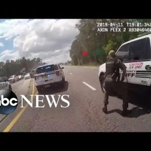 Video shows police in pursuit of a man suspected of carjacking in Florida