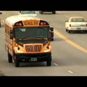 School Buses Over the Restrict