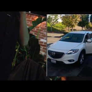 California Valet Allegedly Provides Car Away to Tainted Driver