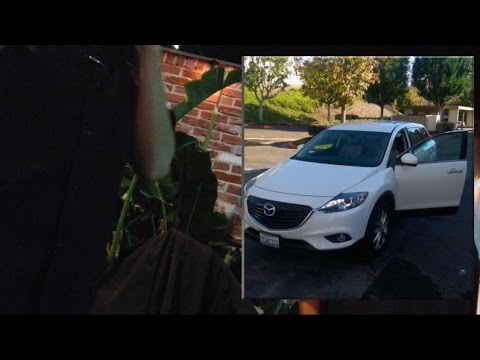 California Valet Allegedly Provides Car Away to Tainted Driver