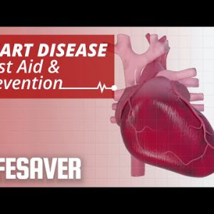 Coronary heart Disease: First Lend a hand and Prevention | LIFESAVER