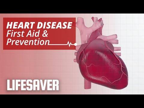 Coronary heart Disease: First Lend a hand and Prevention | LIFESAVER