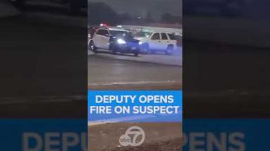 Bystander captures video of SUV ramming deputy’s automobile quickly sooner than shots ring out