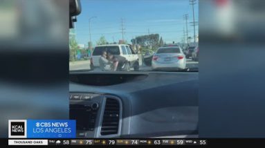Caught on Digicam: Brawl erupts within the center of San Fernando Valley twin carriageway