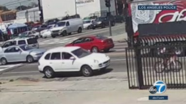 $50K reward supplied to win driver in deadly South LA hit-bustle | ABC7