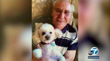 Holocaust survivor struck, killed in Valley Village hit-and-hurry I ABC7