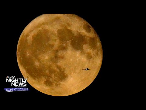 You received’t hang to dawdle over the finest supermoons of August! | Nightly News: Teenagers Edition