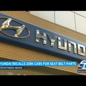 Exploding seat belt parts instantaneous Hyundai to elevate 239,000 cars | ABC7