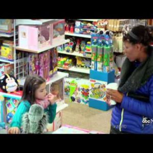 Racially Acceptable Toys | What Would You Attain? | WWYD | ABC News