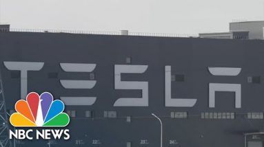 Federal Court Orders Tesla To Pay $137 Million To Aged Sunless Employee Over Racism