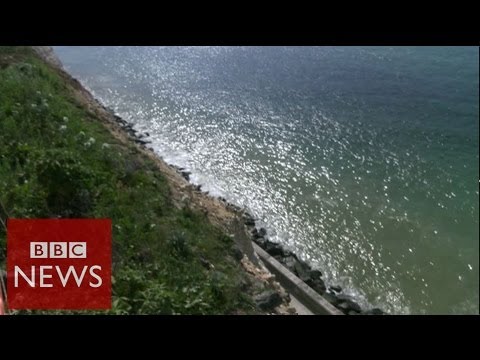 Miracle survival! Man drives off a 24m cliff and lives – BBC News