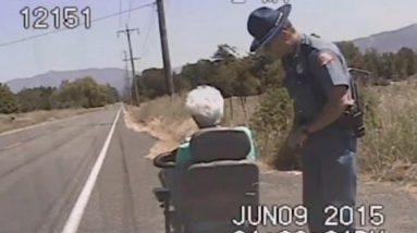 Grandmother Leads Lifeless-Mosey Pursuit at 6 Miles per Hour