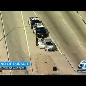 POLICE CHASE: Suspect detained after leading LAPD on erratic shuffle, leaving at the abet of auto on 110 Fwy | ABC7