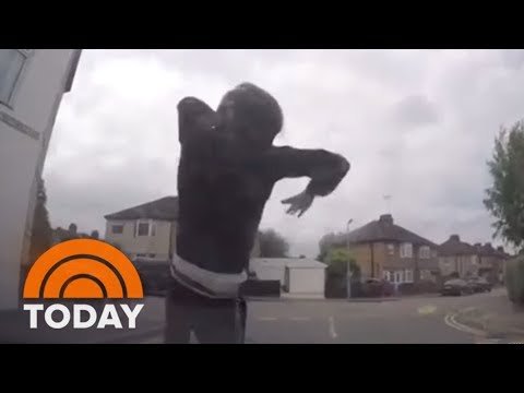 Dashcam Video Catches Would-Be Insurance Scammers Red-Handed | TODAY