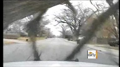 The Early Record – Caught on tape: Tree branch smashes automobile windshield