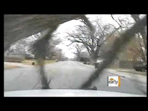 The Early Record – Caught on tape: Tree branch smashes automobile windshield