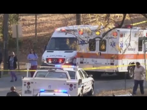A whole lot of killed in Tenn. faculty bus atomize