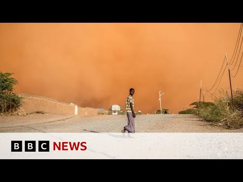 As much as 75% of the enviornment can even be facing drought by 2050 – BBC News