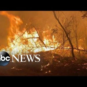 Crews go against time, climate adjustments to own Australia fires | ABC Info