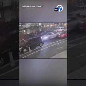 Police see for Porsche driver interested by back-to-back hit-and-trudge crashes in DTLA