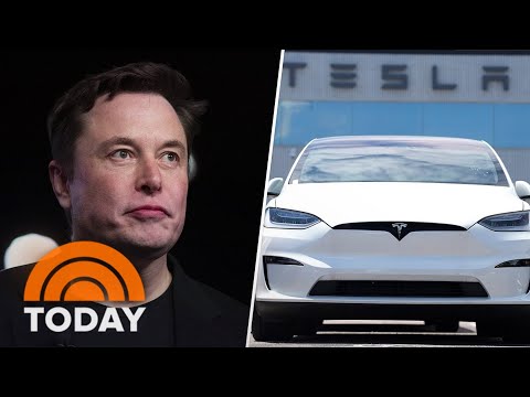 Elon Musk beneath strain as Tesla’s gross sales targets, inventory heed tear