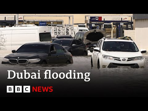 Dubai airport flooded as UAE and Oman reel from deadly storms | BBC Records