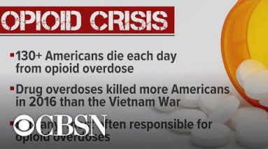 Describe finds People seemingly to die from opioid overdose than automobile smash