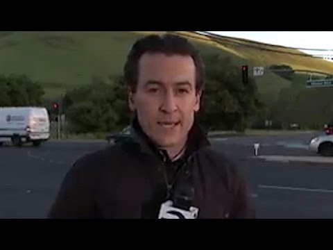 Caught on tape: Out-of-regulate automobile with reference to hits TV reporter