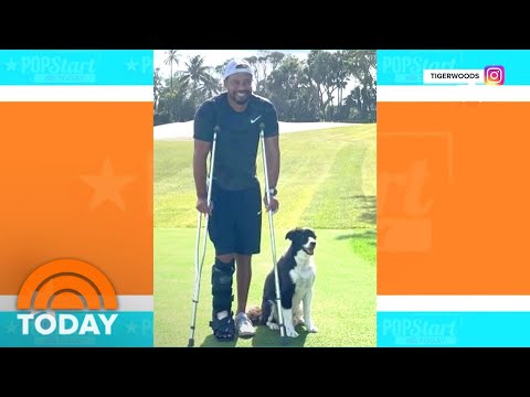 Tiger Woods Posts Picture Of Himself After Automotive Smash | TODAY