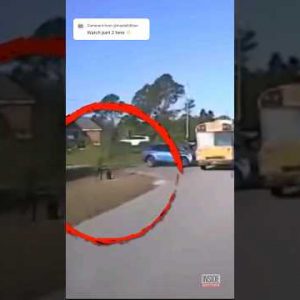 6 Repulsive College Bus Accidents I Portion 2