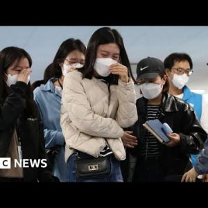 Itaewon crowd crush kills bigger than 150 in Seoul, South Korea – BBC Recordsdata