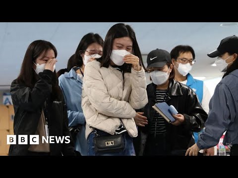 Itaewon crowd crush kills bigger than 150 in Seoul, South Korea – BBC Recordsdata