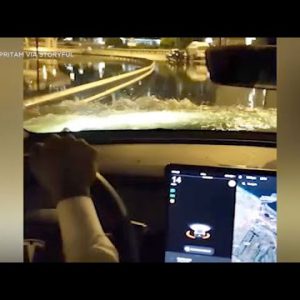 Tesla cuts thru flood waters in Dubai whereas other vehicles got caught