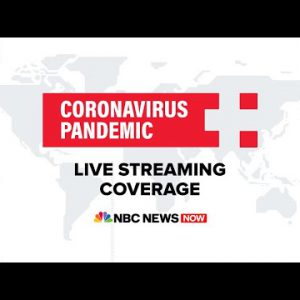 Seek for Elephantine Coronavirus Protection – Can also simply 18 | NBC Information Now (Dwell Stir)