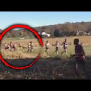Glance Gorgeous 2nd College Runner Gets Hit By Deer Throughout Escape